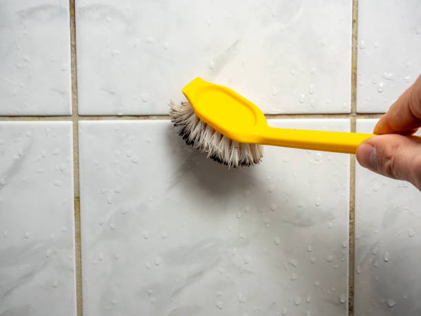 Best Local Mold Removal Service  in Shortsville, NY