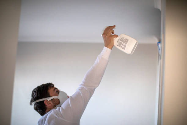 Best Mold Removal and Inspection  in Shortsville, NY
